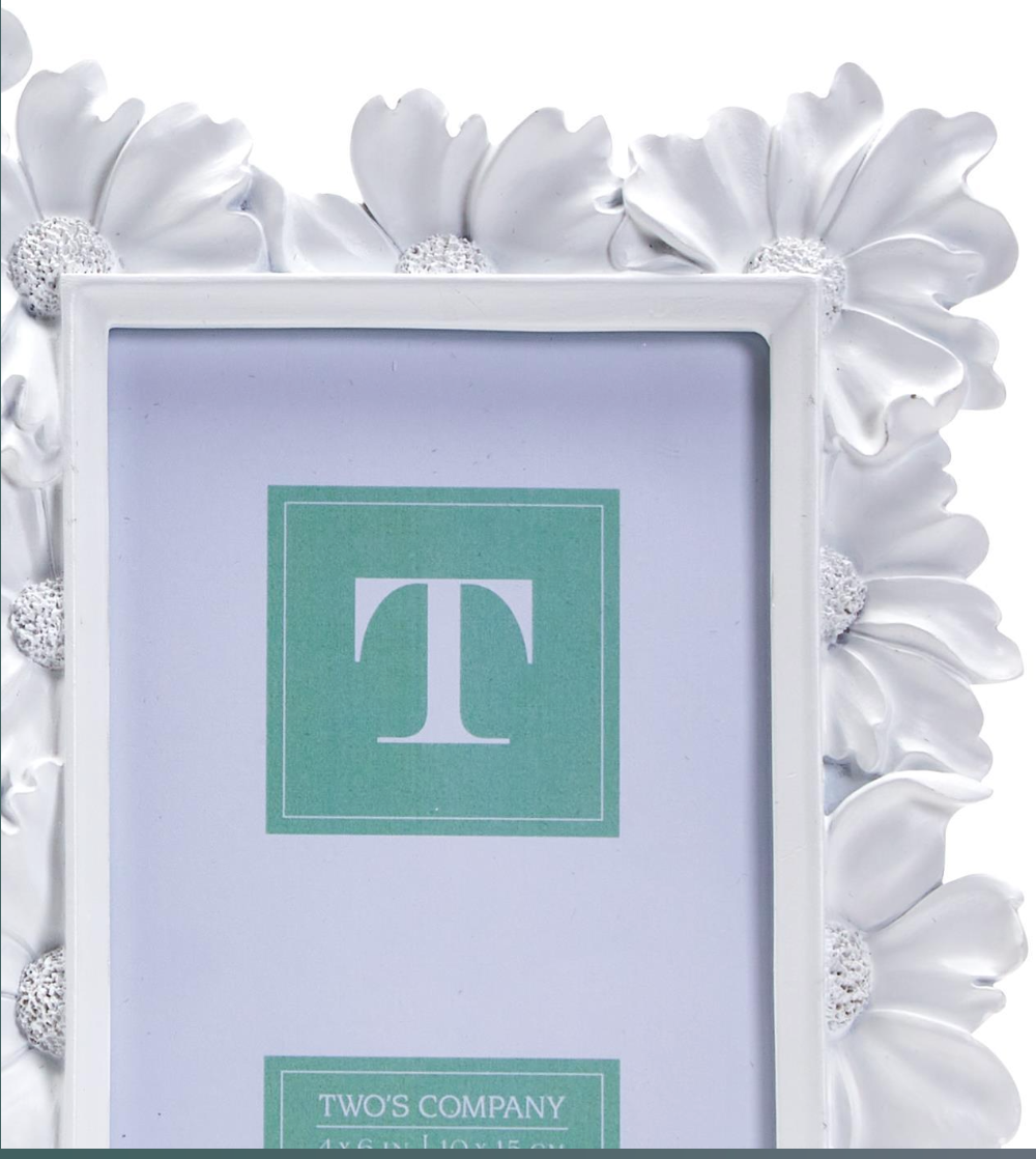 White Daisy Photo Frames S/2