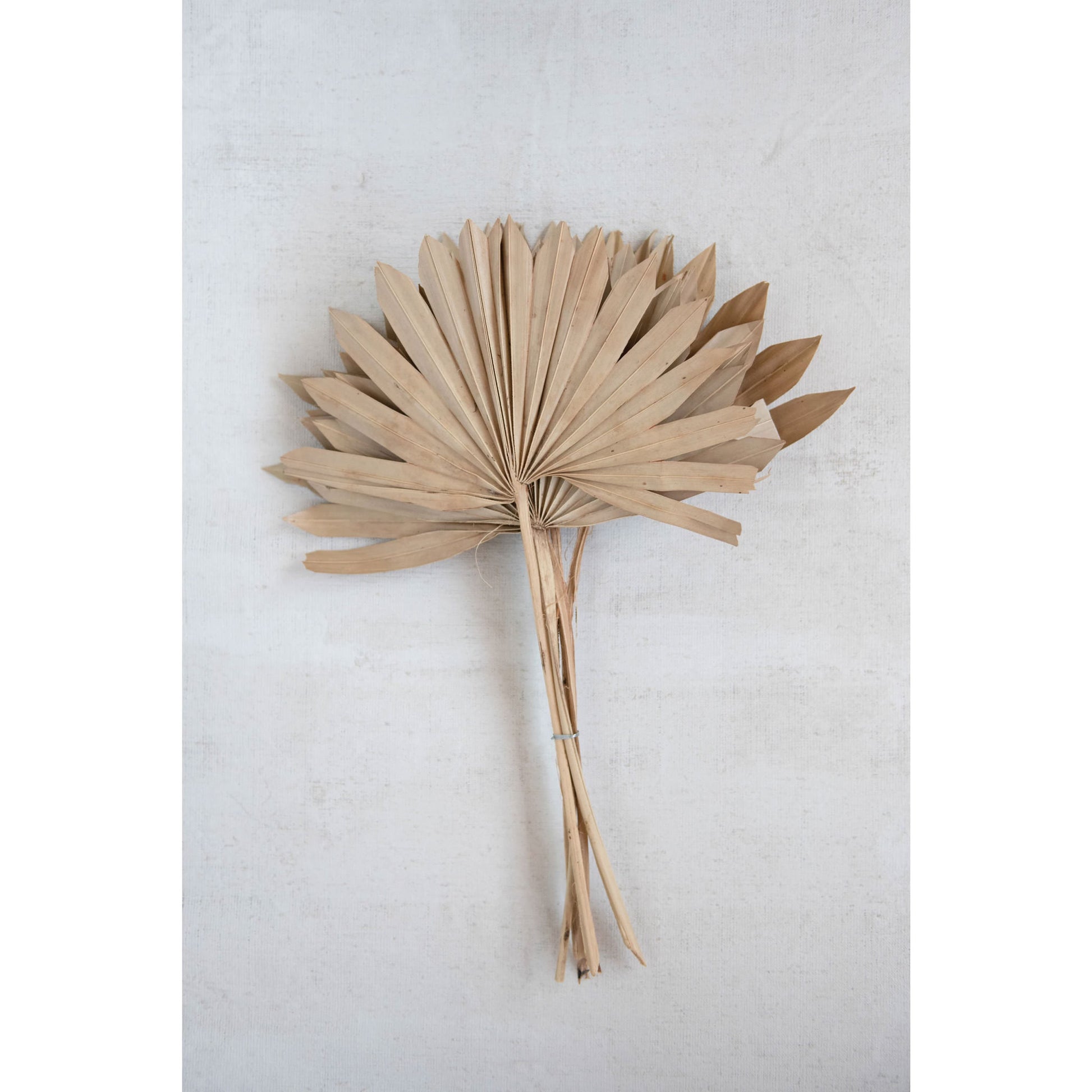 Dried Natural Spear Cut Palm Bunch