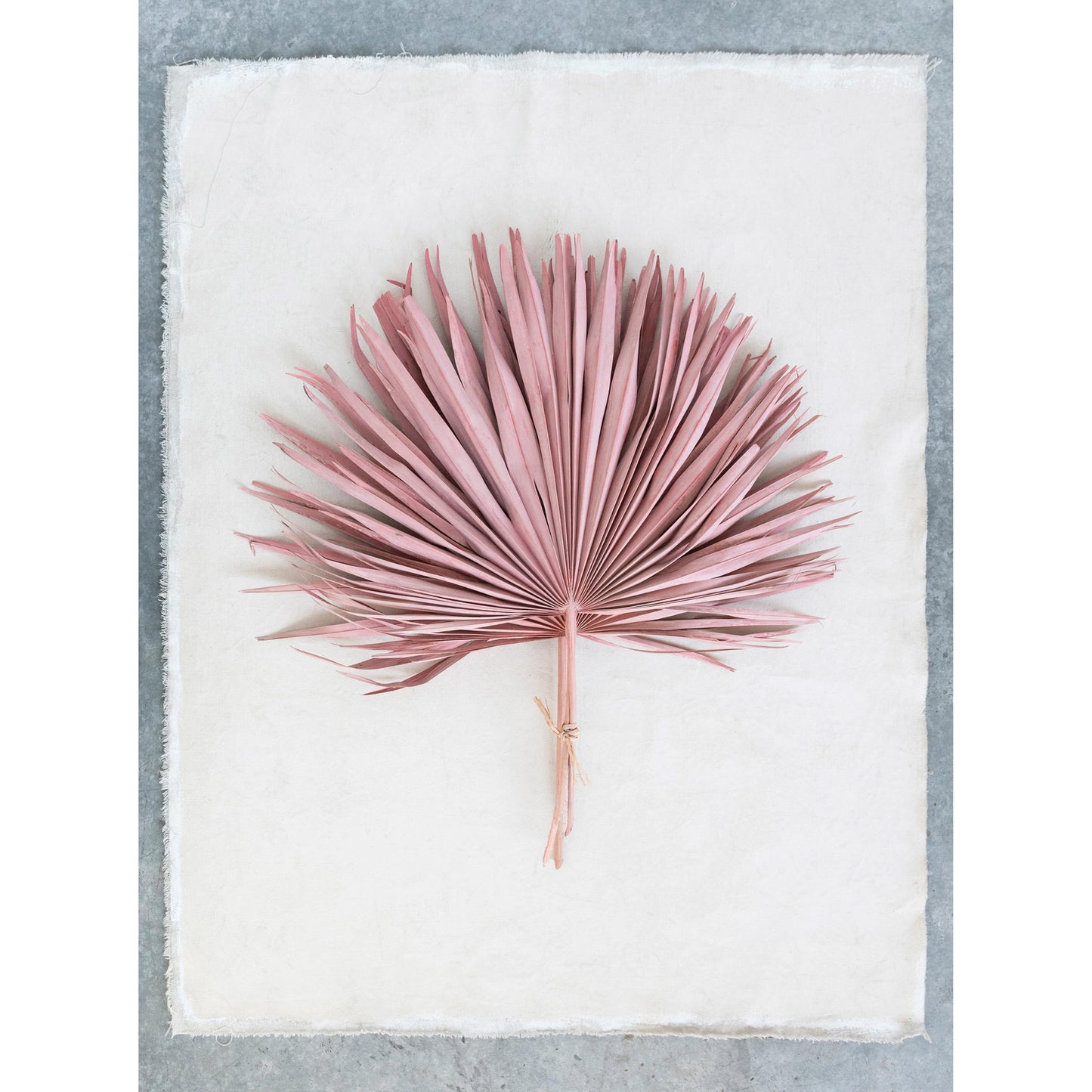 Pink Dried Palm Leaf Bunch