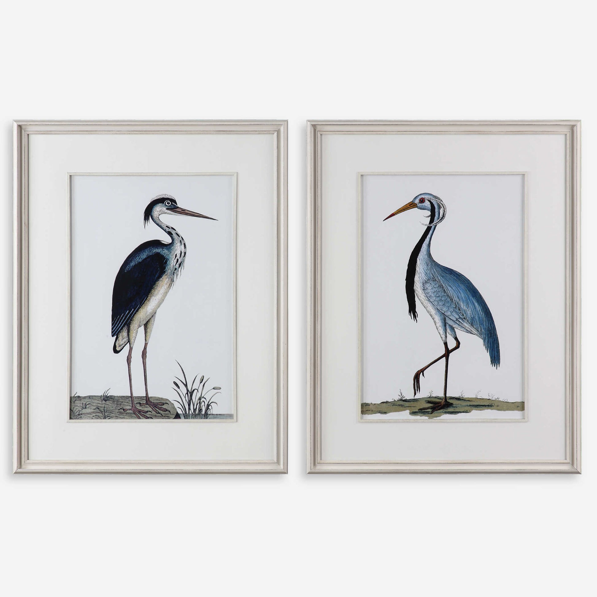 Shore Birds Framed Prints