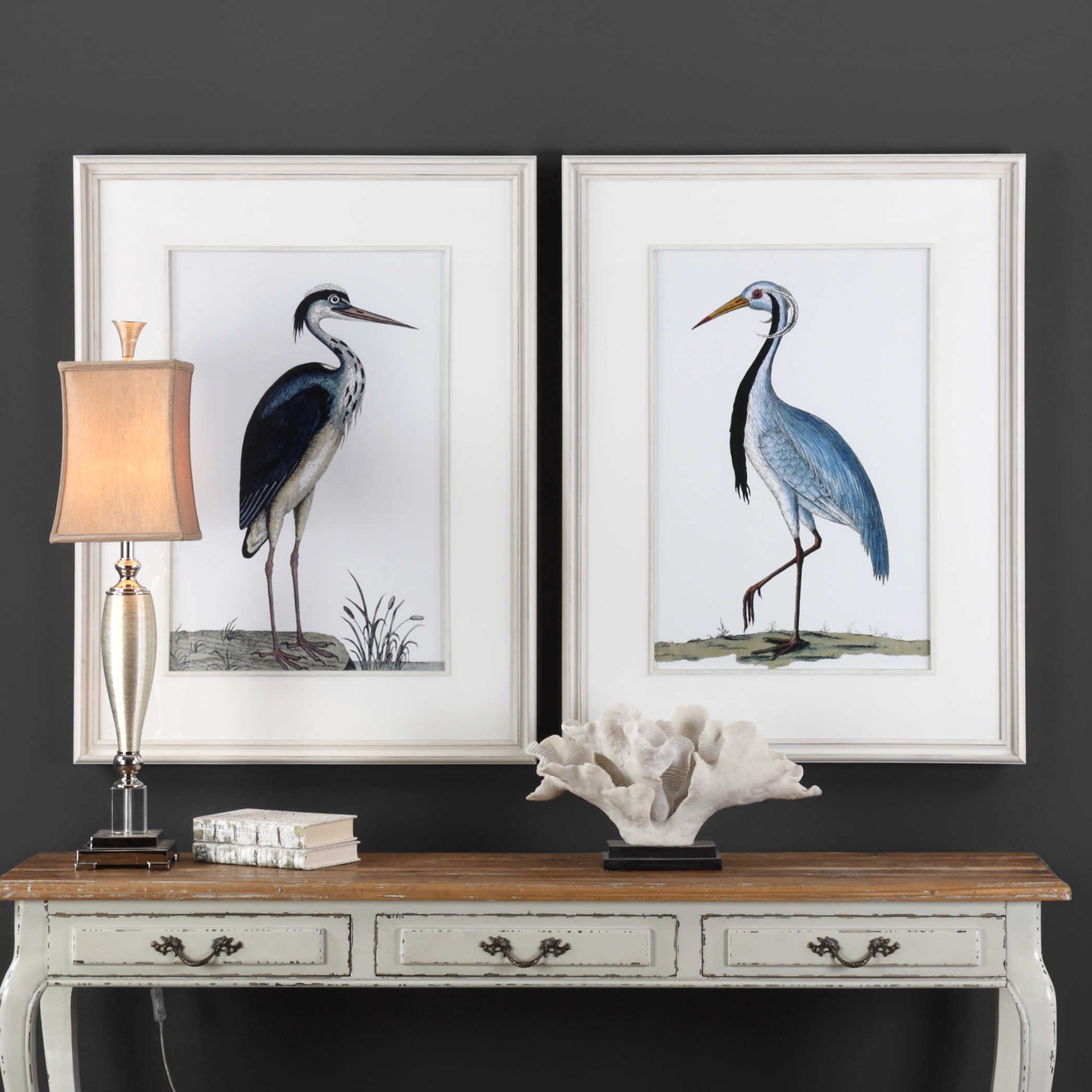 Shore Birds Framed Prints